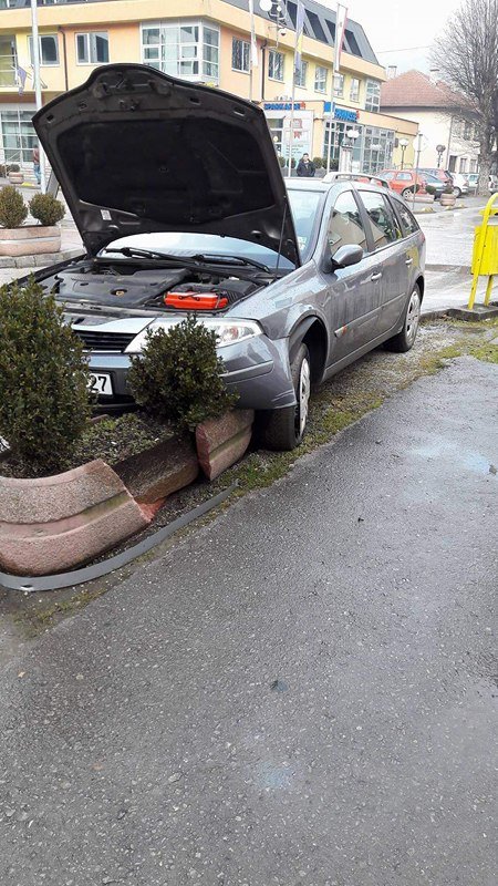 15417036_1806505616292575_864928892_n