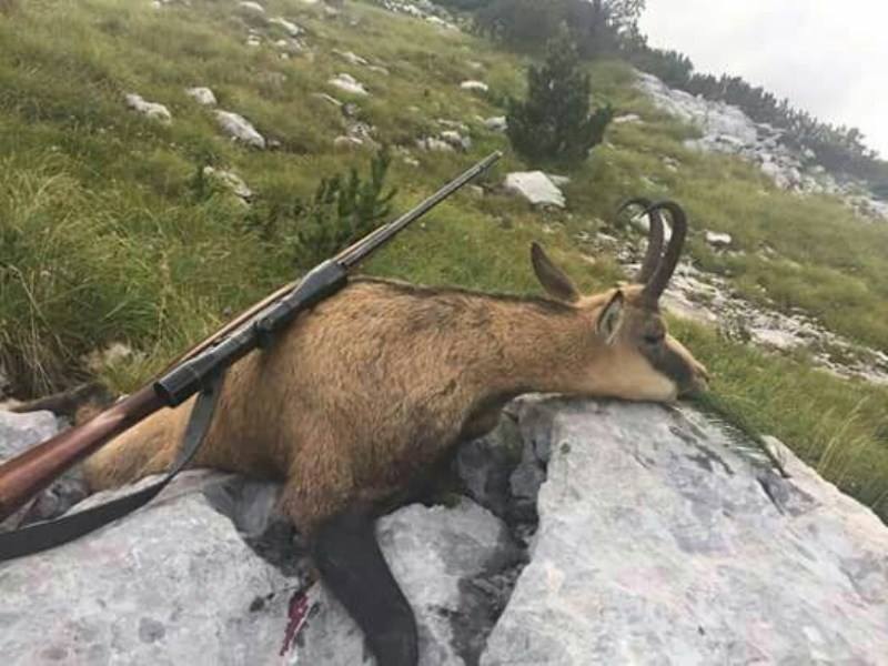 15578959_1547668181927198_8966771222623893386_n