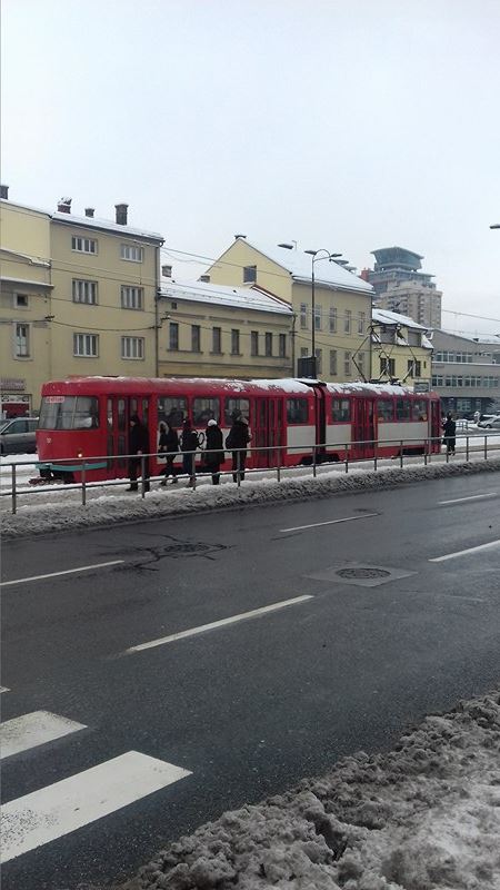 15878866_10154301016063693_1891252681_n