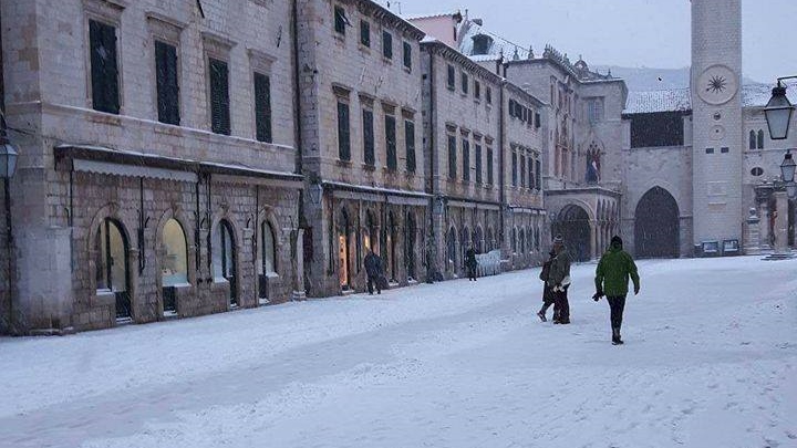 15943523_10208032450955751_1964455708_o