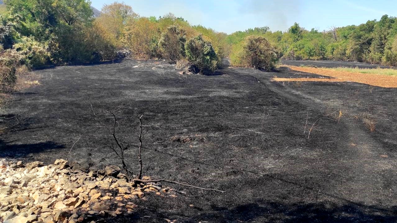 BiH: Još uvijek aktivni požari u Čapljini, Stocu i Jablanici