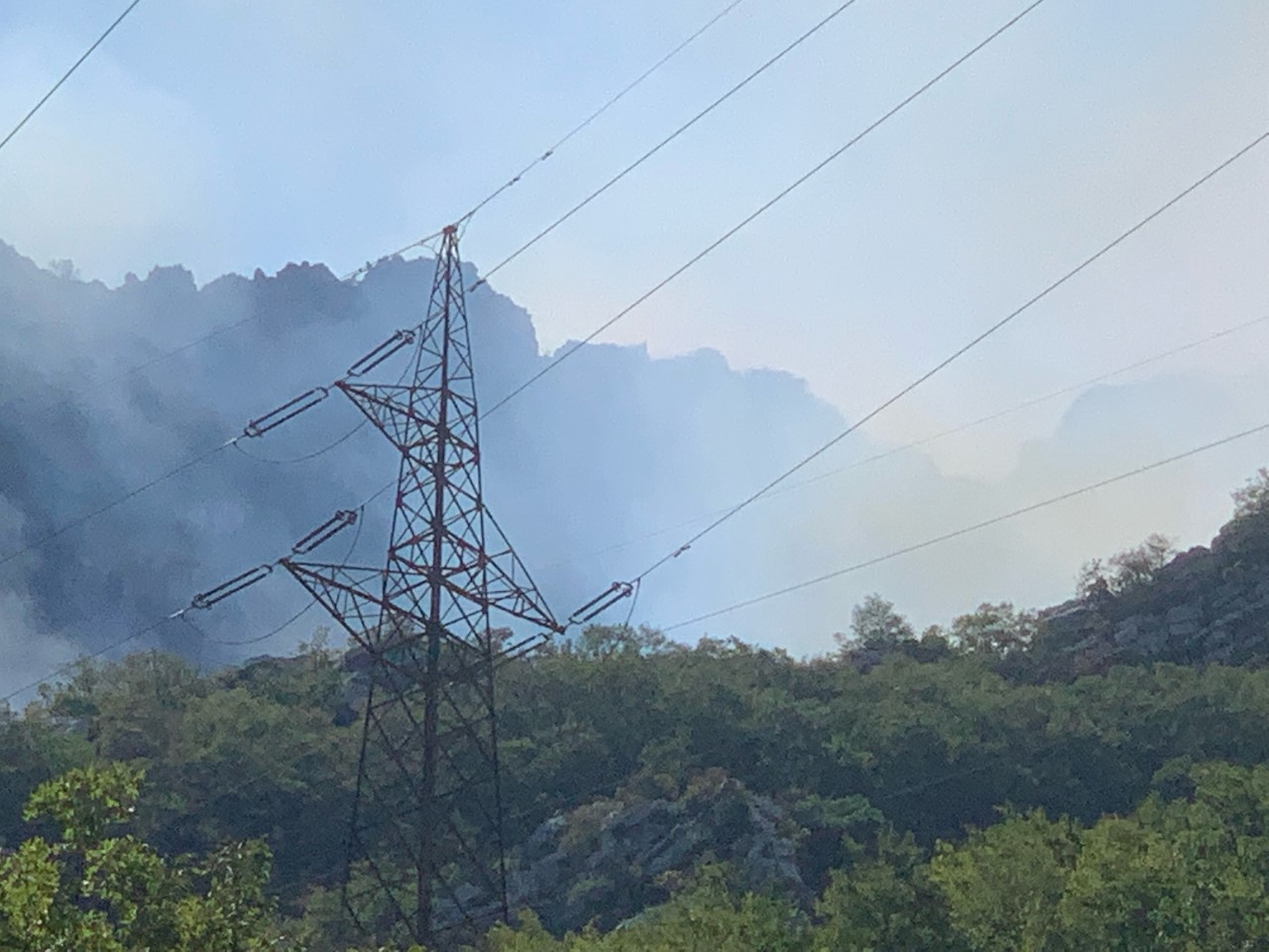 thumbnail_image0 (1)