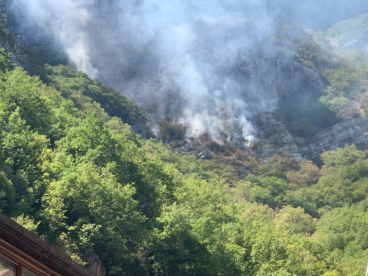 thumbnail_image3 (1)