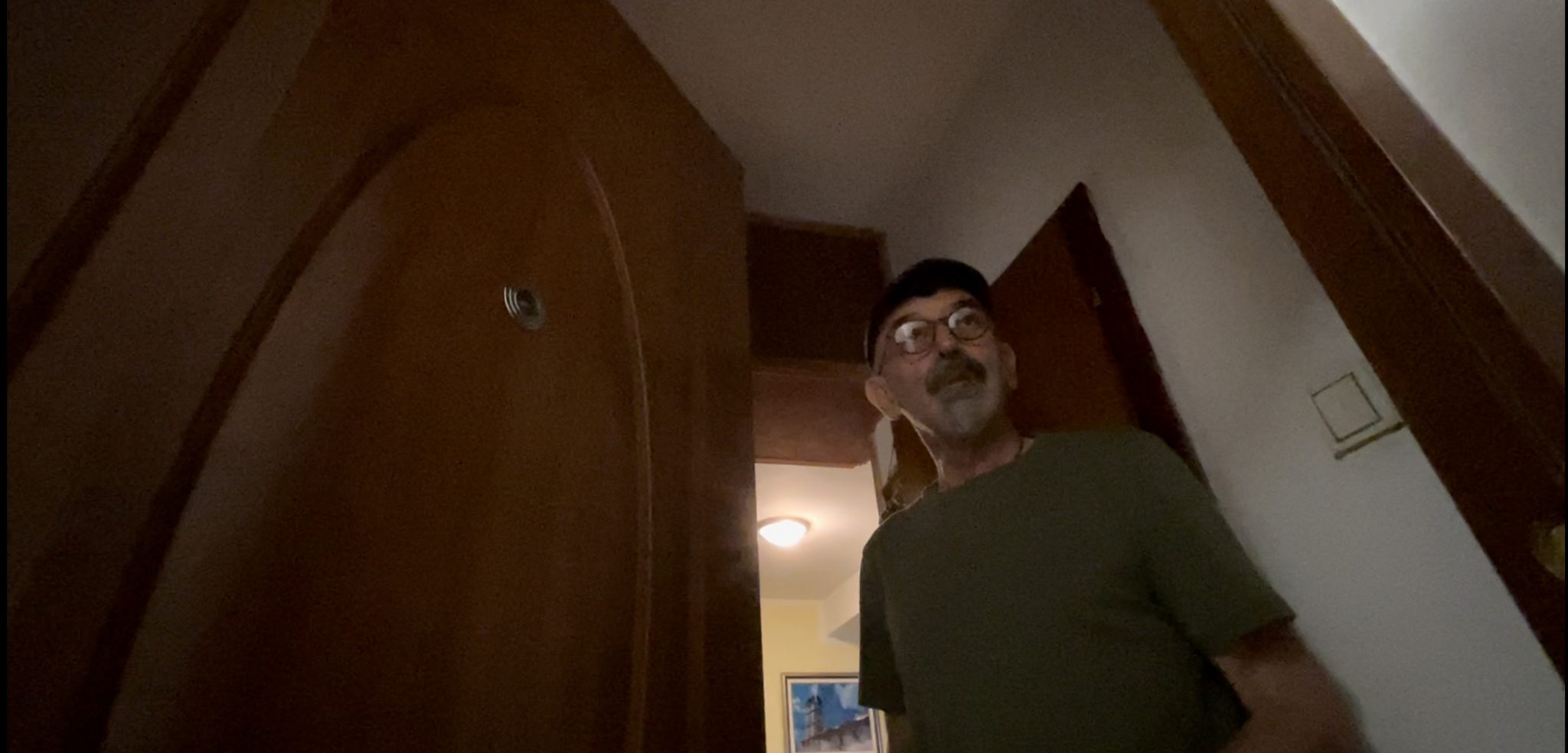 dusko-kornjaca-u-ns-2048x984