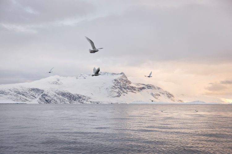 1629525820-000_96L8RL-750x500