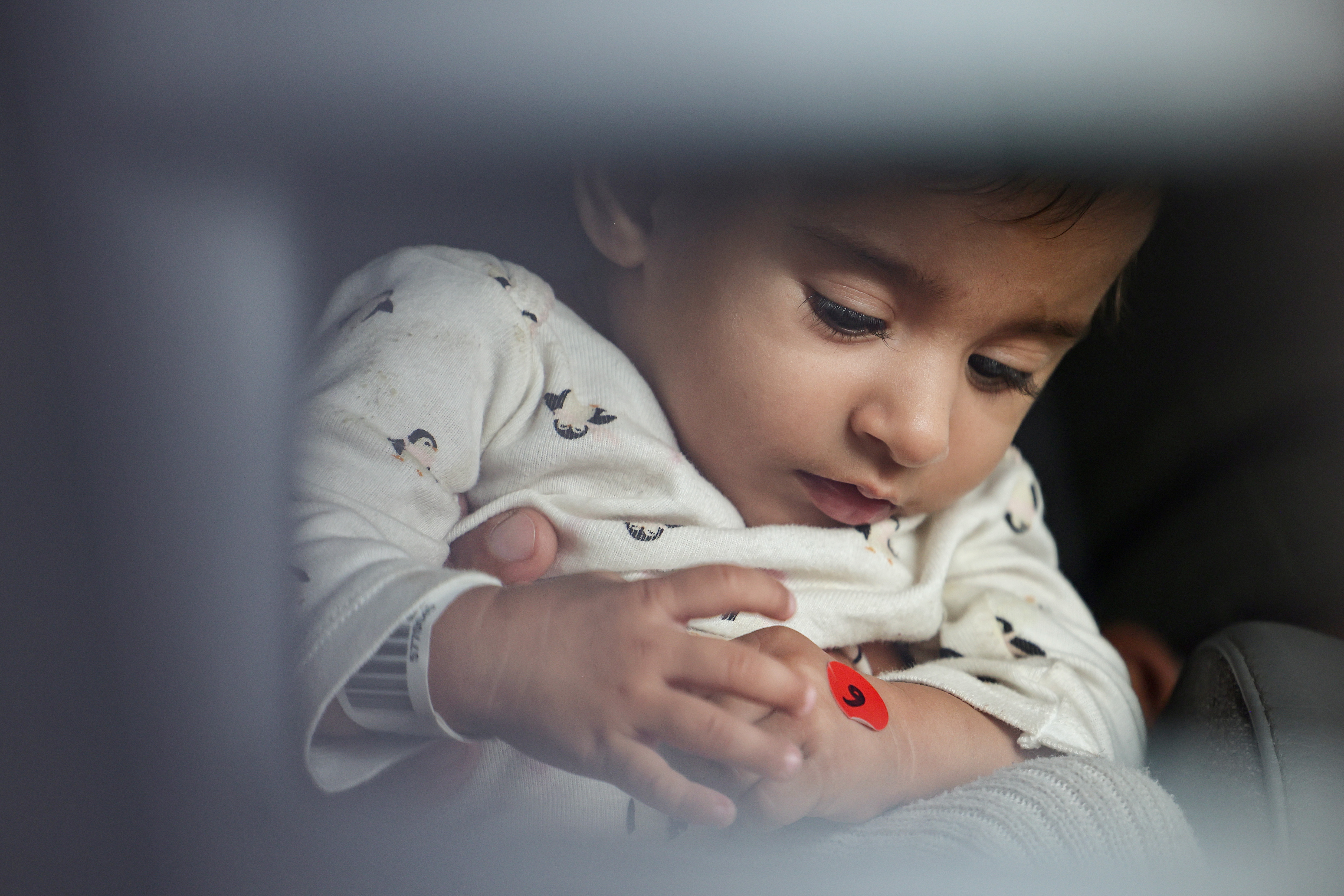 Afghan refugees arrive at Dulles Airport in Virginia