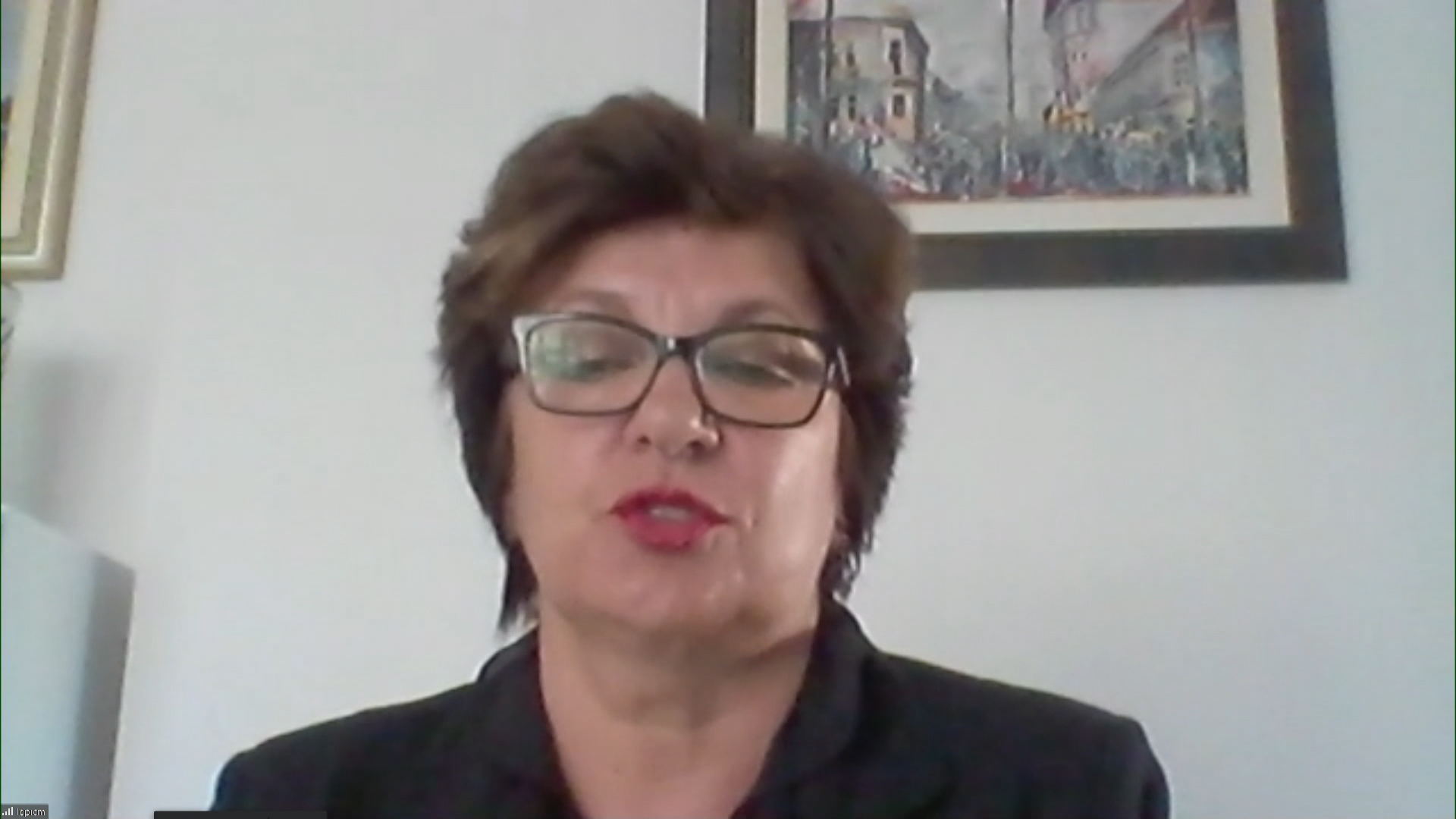 sa-mirjana marinkovic-lepic-clf-020921.Still001