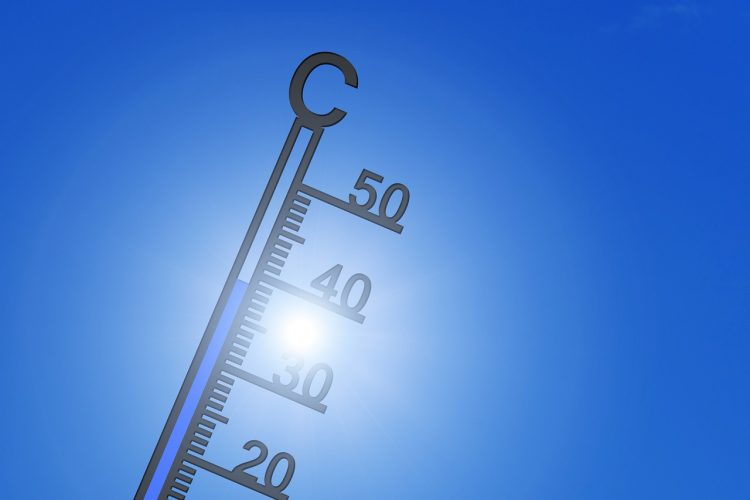 thermometer-4353318_1280-750x500