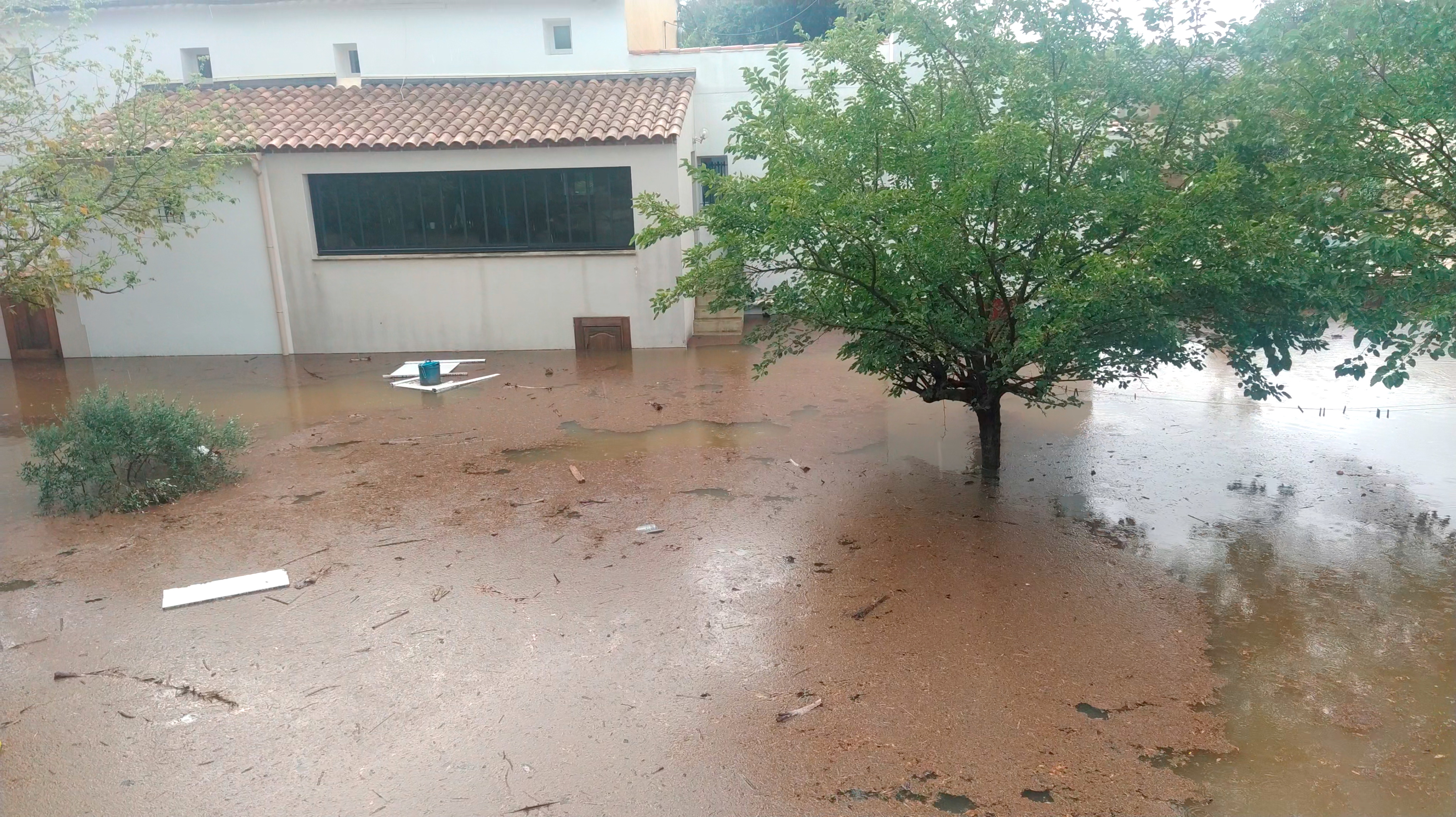 A tree stands amongst flood waters in Aigues-Vives