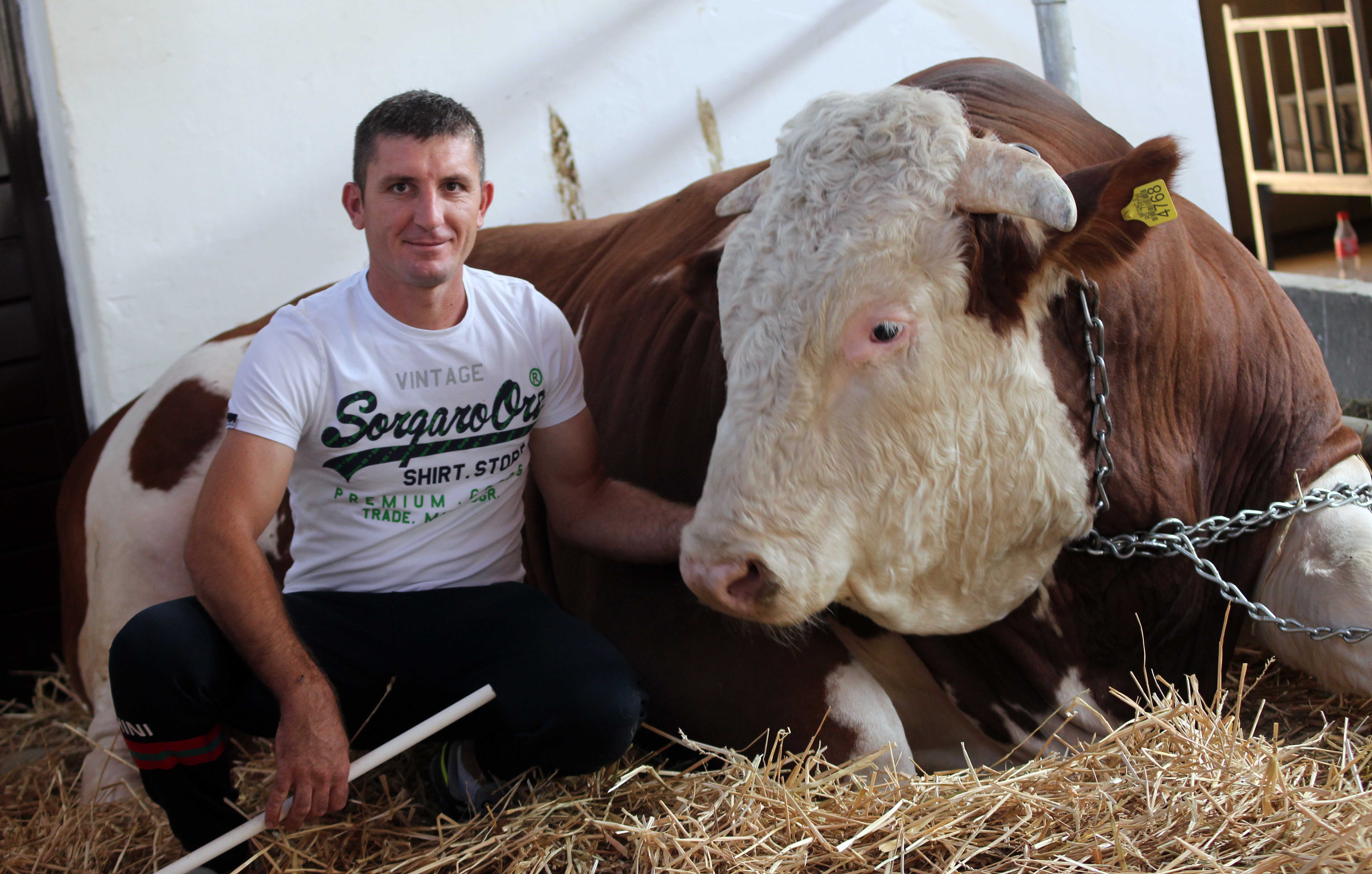 Bik Miško atrakcija Poljoprivrednog sajma u Novom Sadu