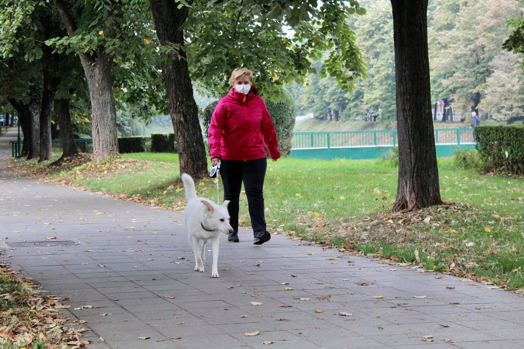 242471977_356393829559996_5393406607742325506_n