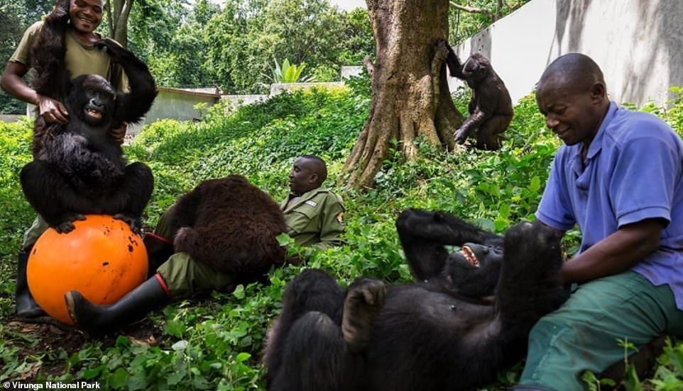 Virunga National Park