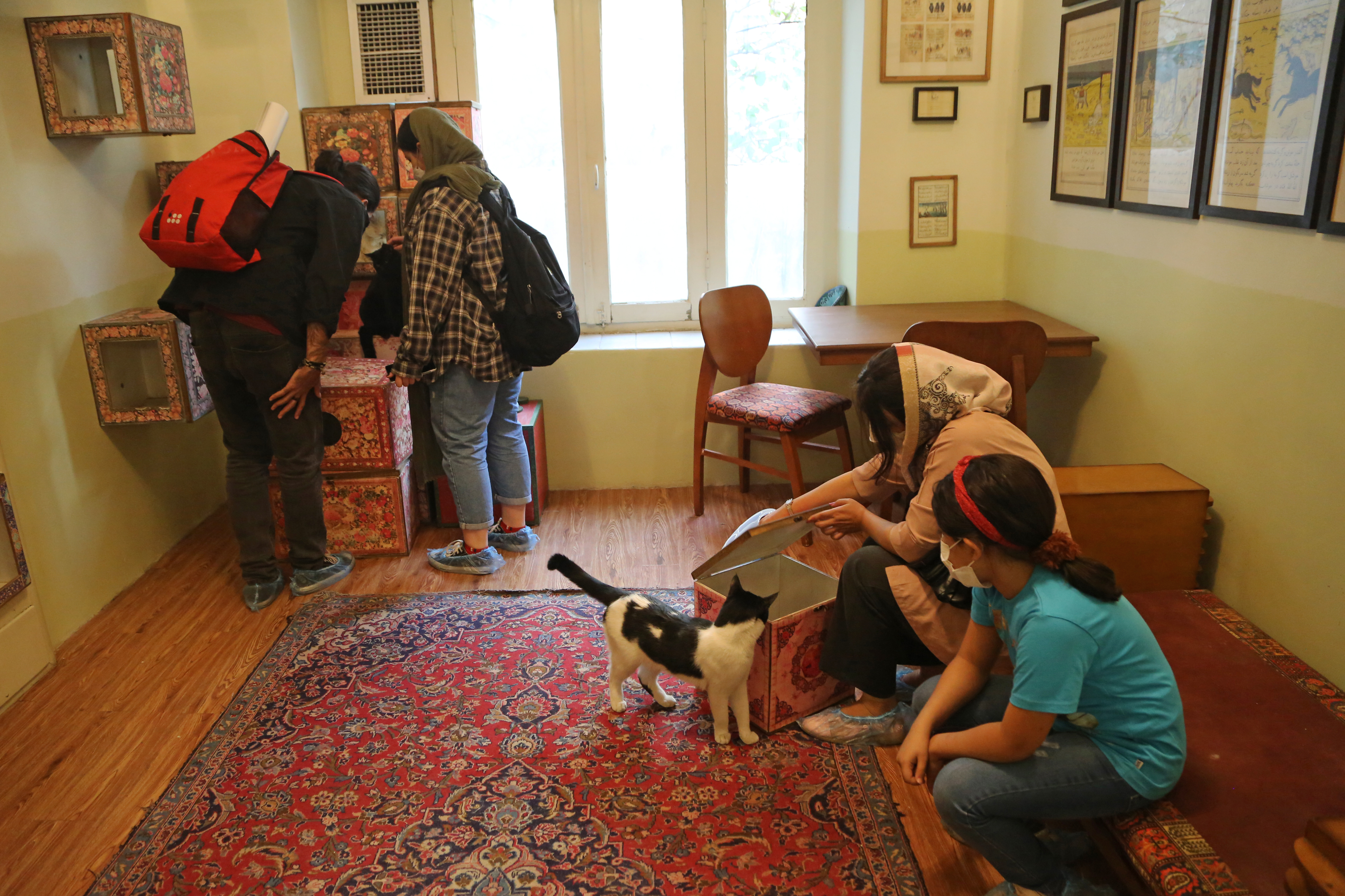 Neobičan Muzej mačaka u Teheranu: Dom za desetine malih prijatelja ljudi