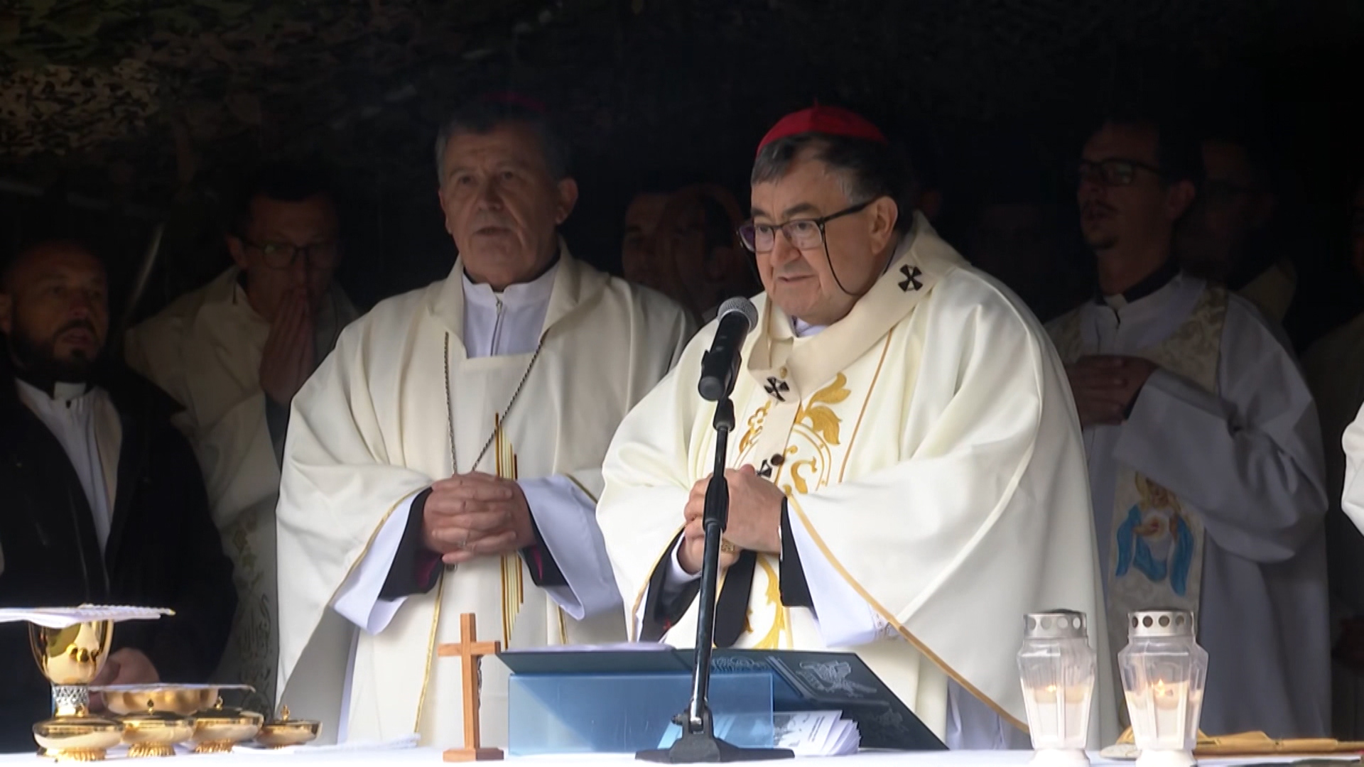 Kardinal Vinko Puljić