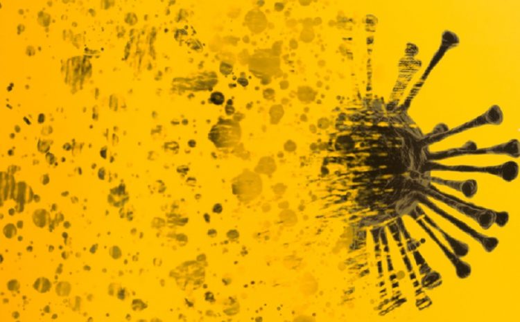 korona 1635398721-shutterstock_1903183486-750x465