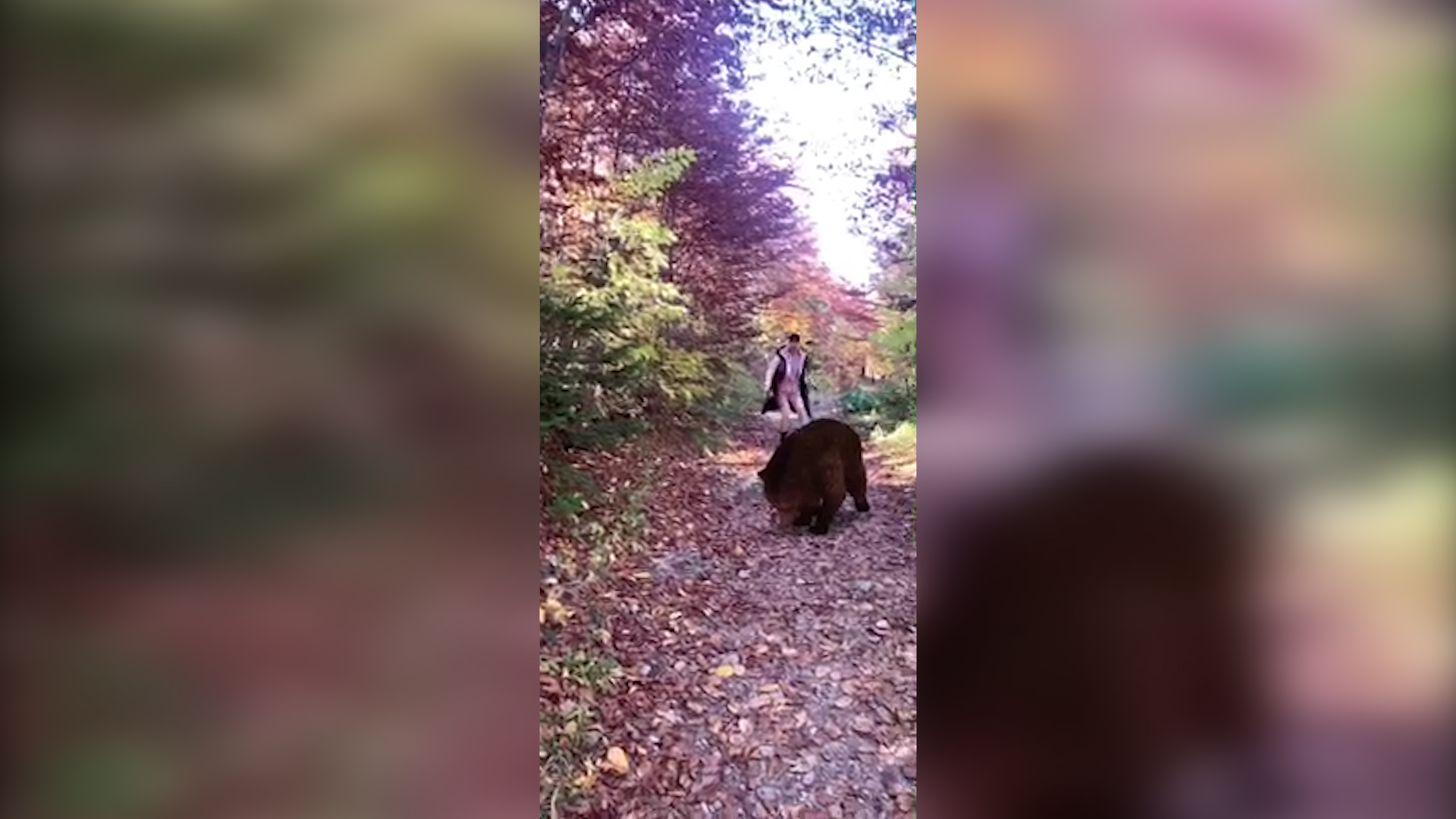 sa-inspiracija-fratar.00_00_01_08.Still001