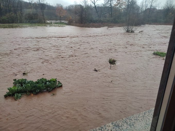 POPLAVE