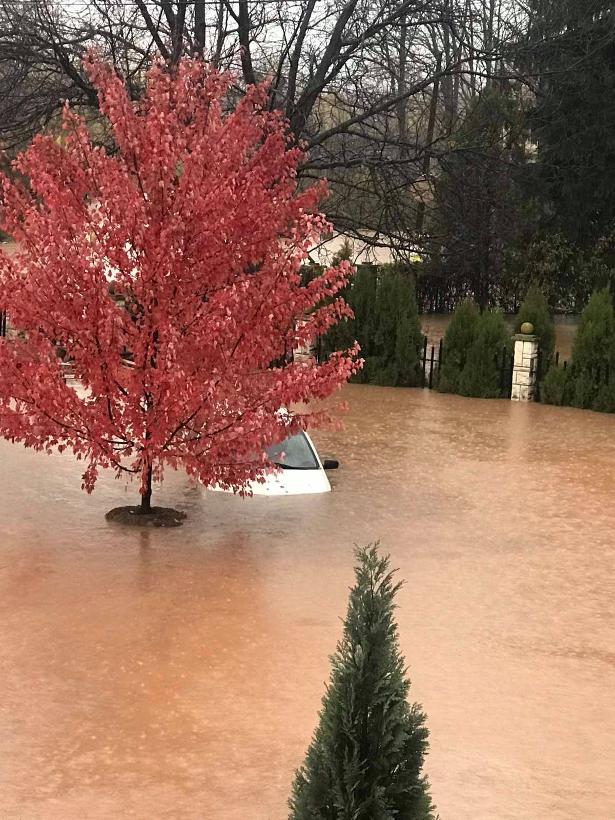 Facebook/Nermin Mehić