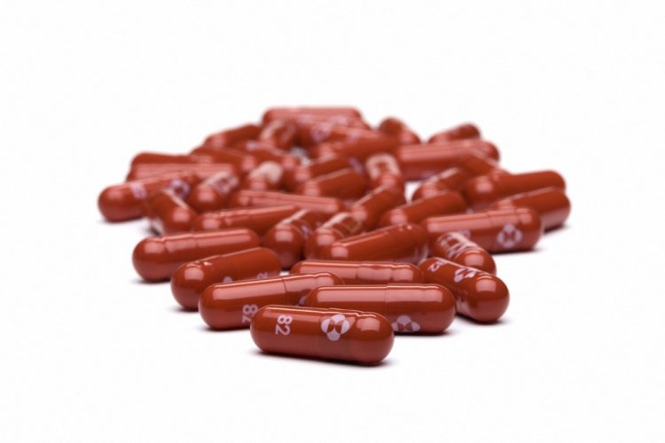 1636719254-000_9R23AN-750x500