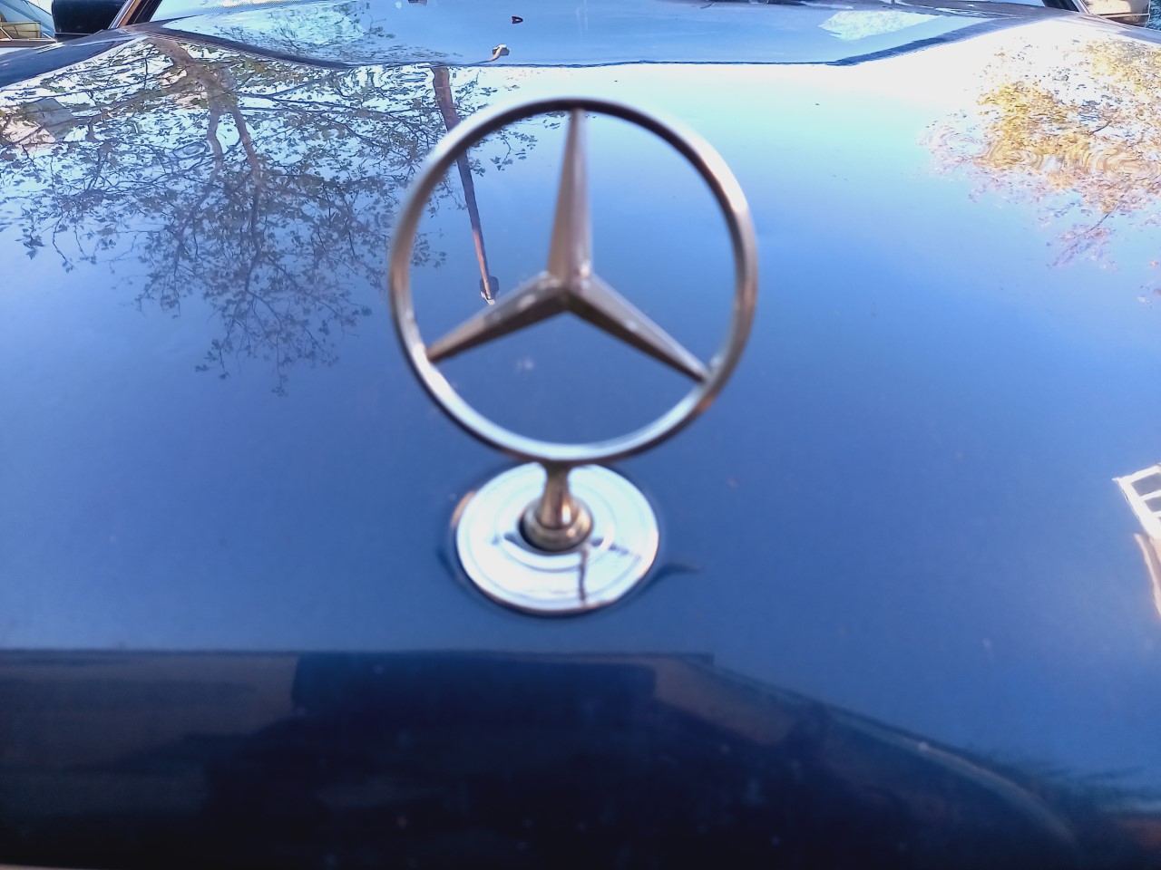 thumbnail_20211111_093405