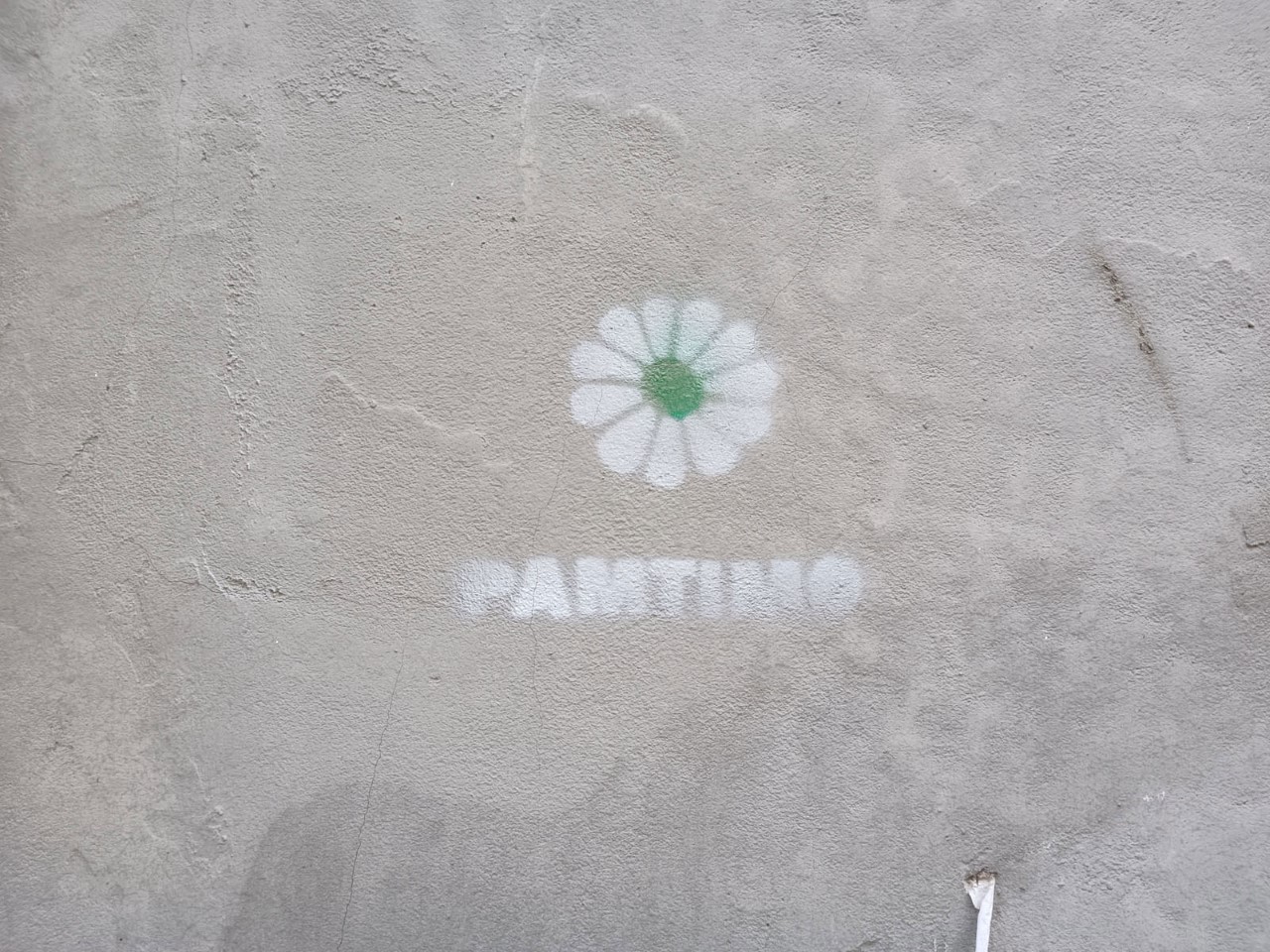 thumbnail_akcija1311-7