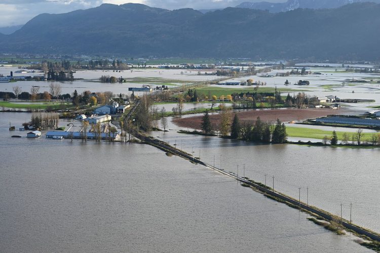 1637128332-000_9RT4B4-750x499