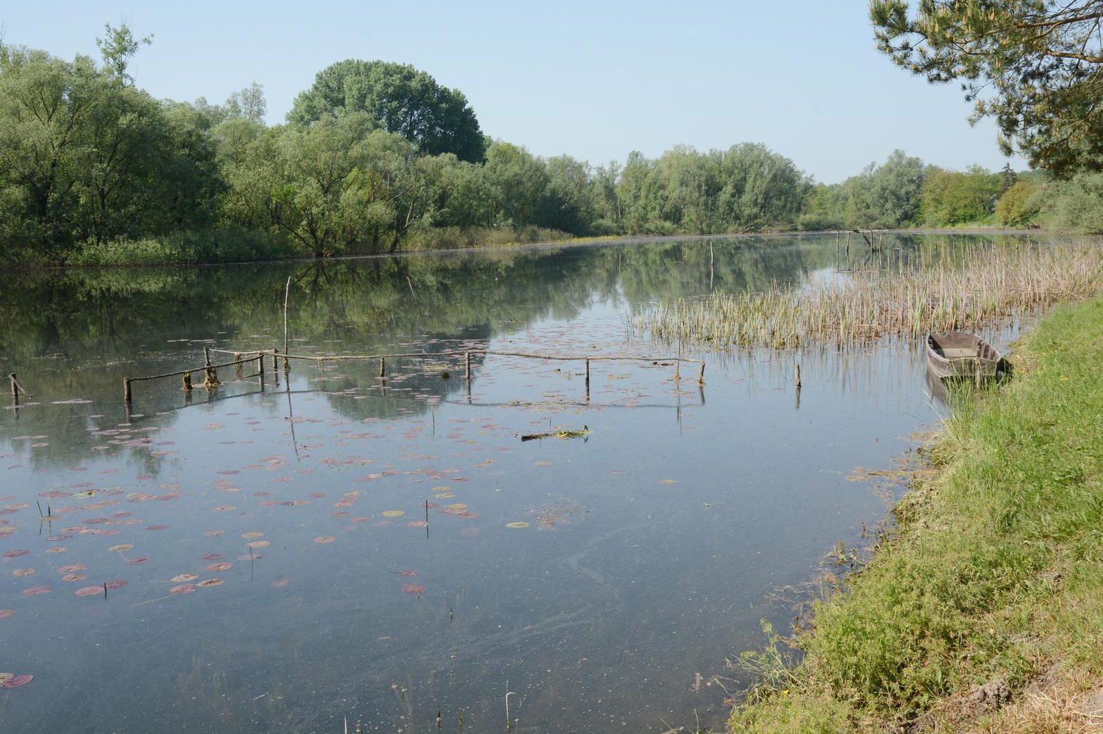 1637239902-PXL_280418_20428623-e1637239940936