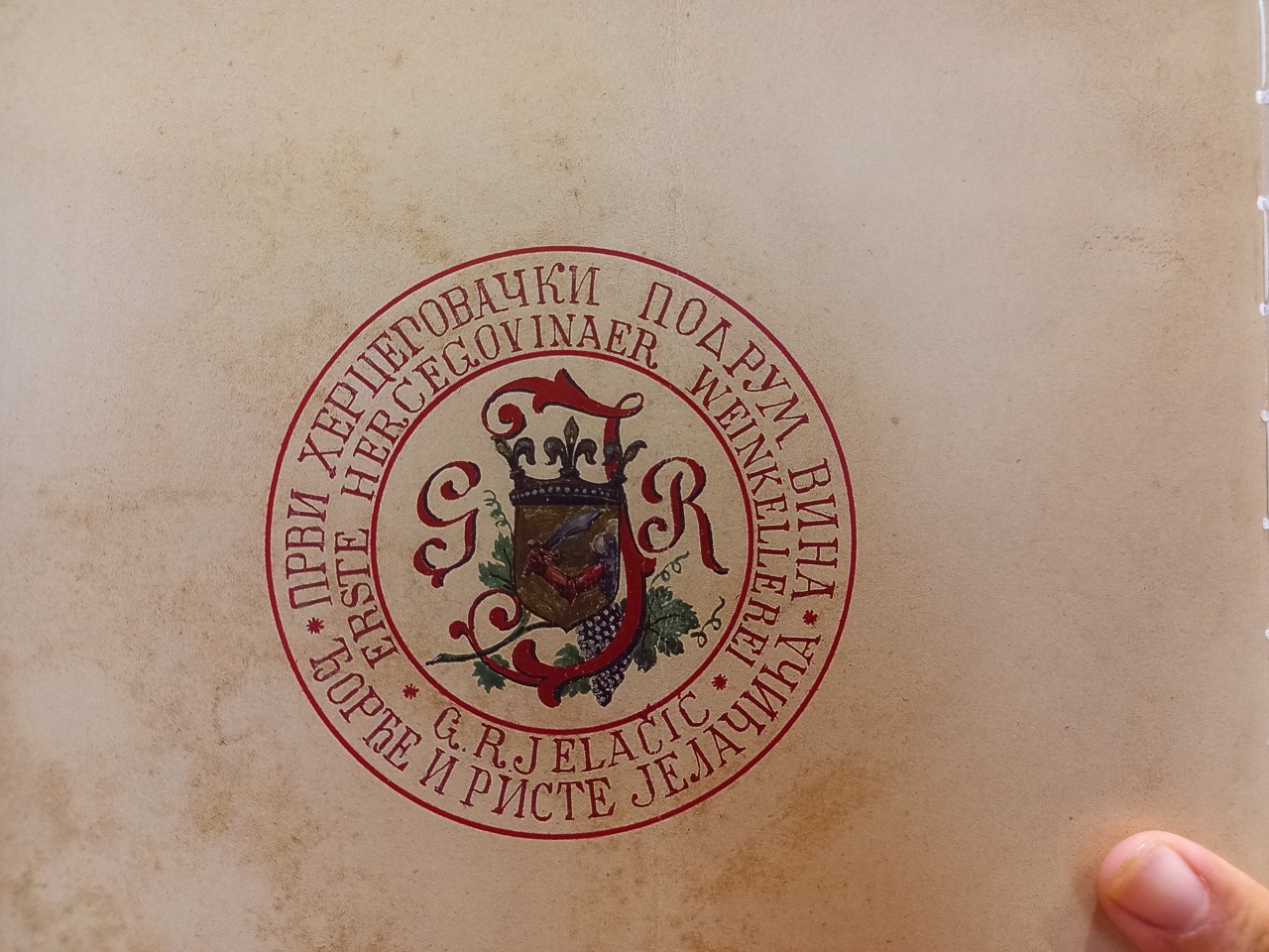 thumbnail_20211115_121652