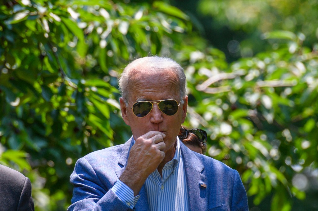US-POLITICS-BIDEN