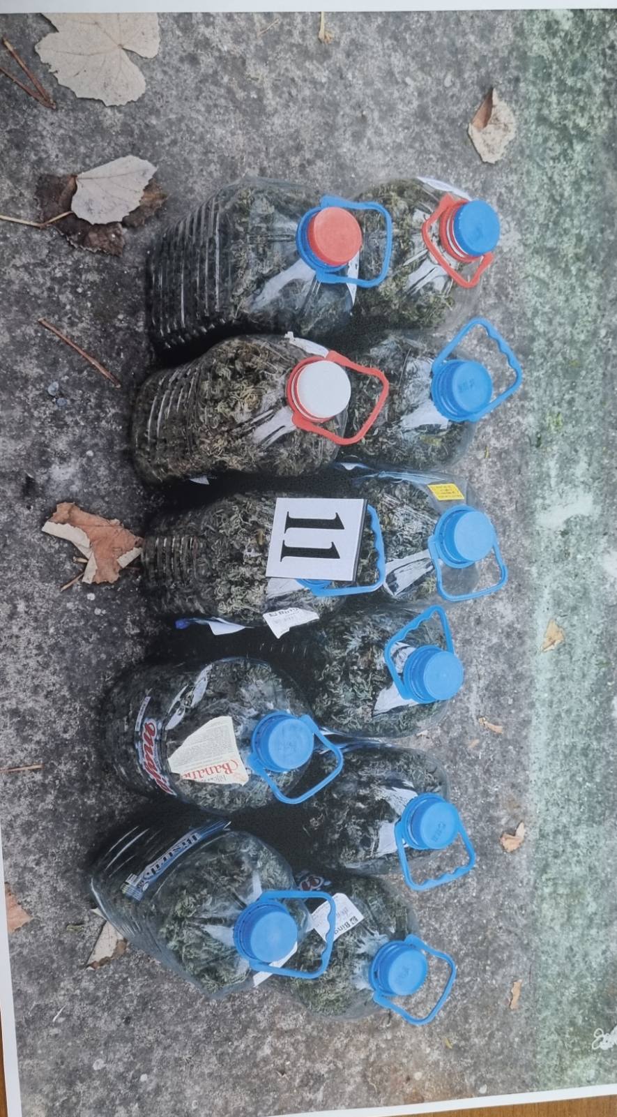 droga marihuana brčko