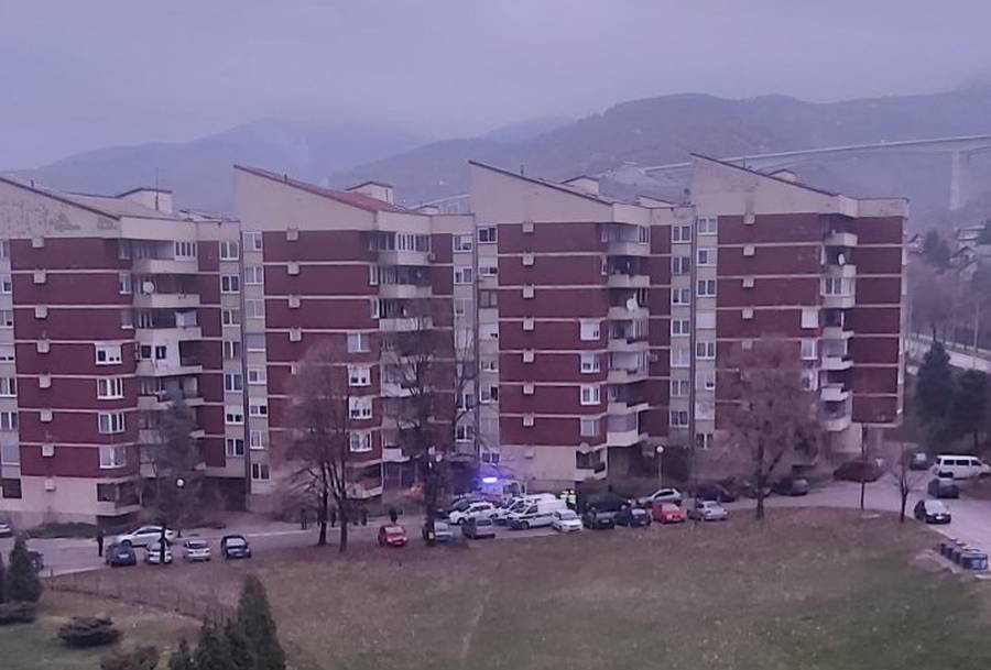 IMG-47cd72dc35308f5d5ae8d5d10c6eeeec-V