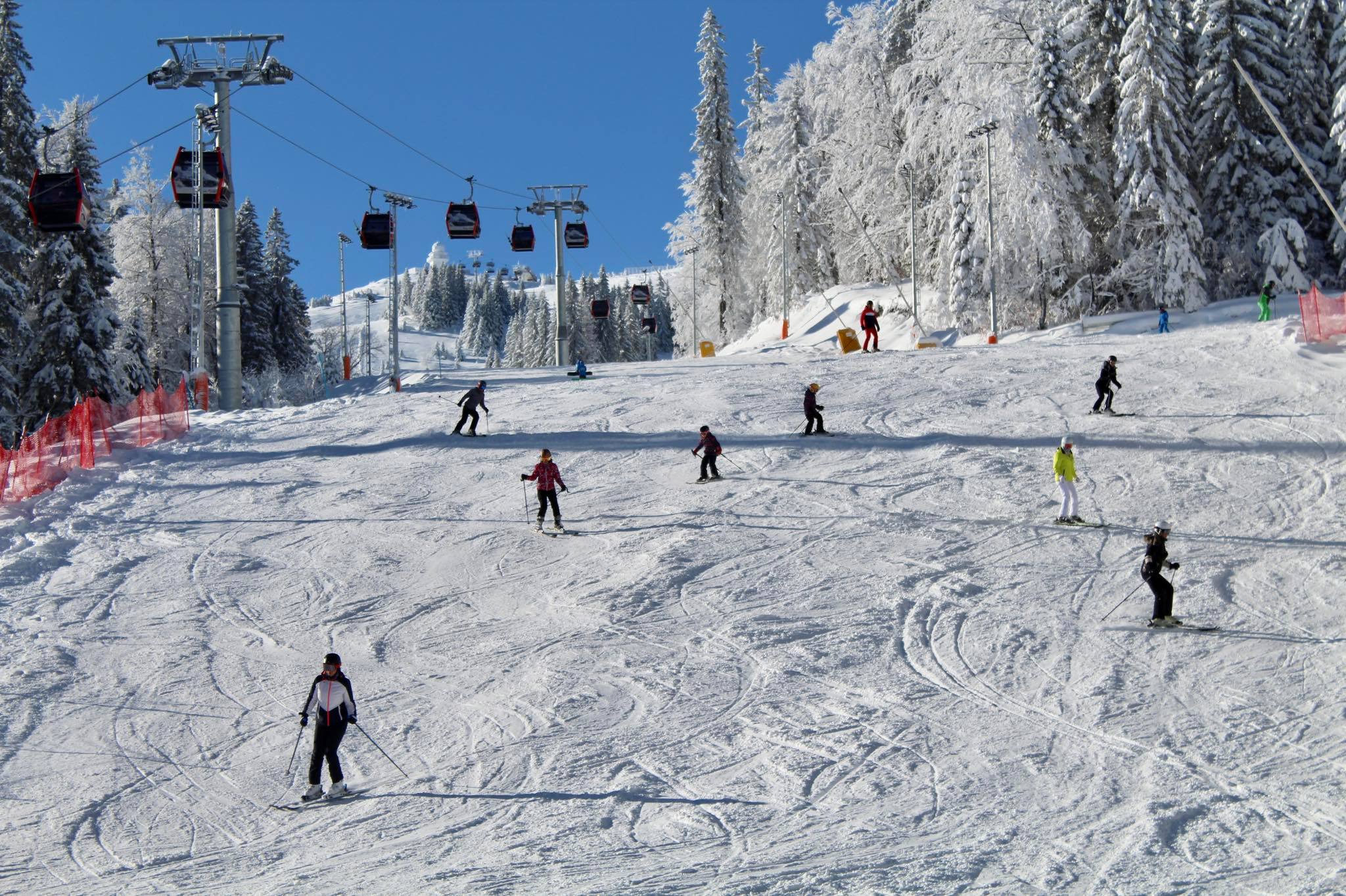 F.Z. / N1 (Ilustracija)