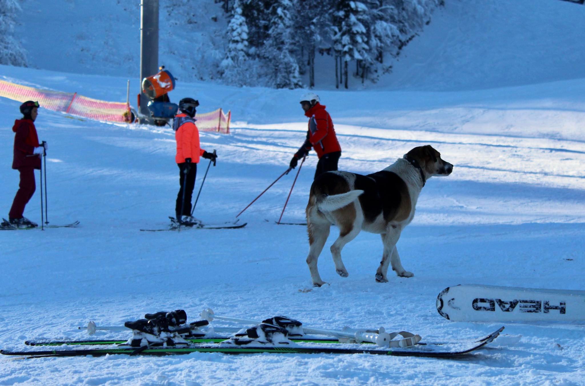 Bjelašnica / F.Z. / N1