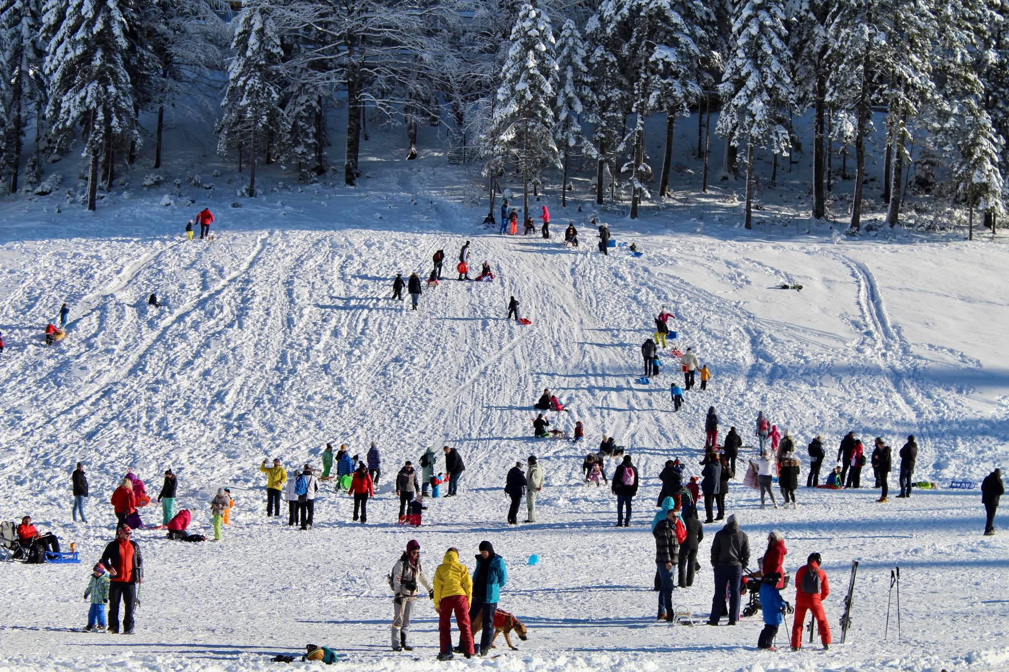 263116134_1632076387130156_5944476091120676053_n