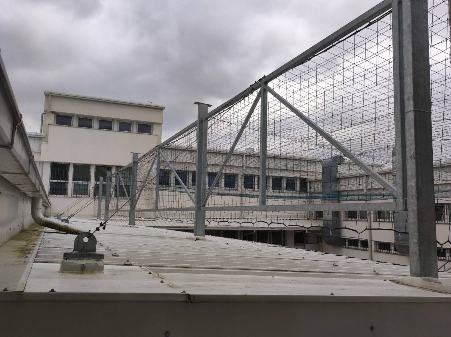 1639150872-signal-2021-12-01-200658_021-900x673