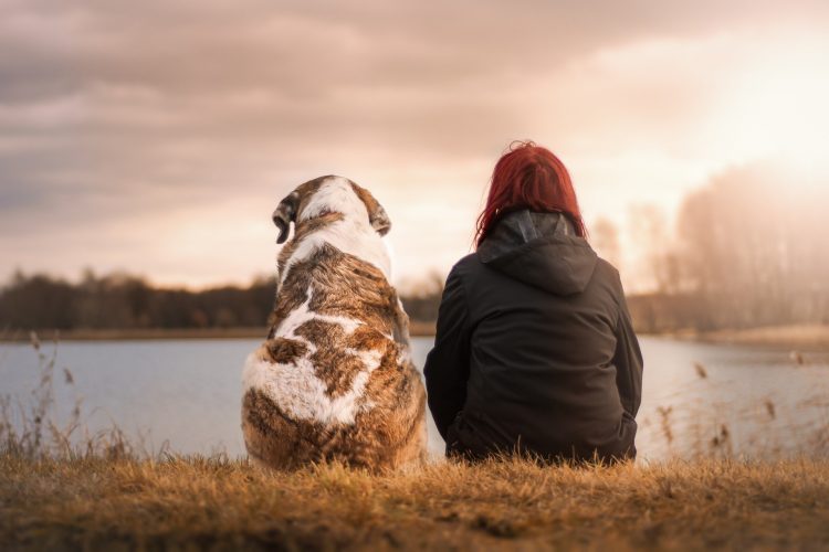 1639937470-friends-g612eb48b5_1920-750x500