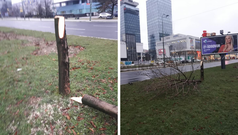 Dizajn bez naslova (35)