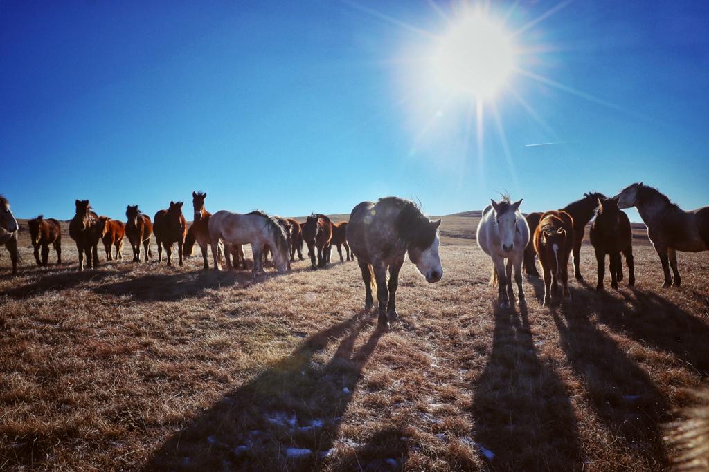 Foto: Aleksandra Vižin