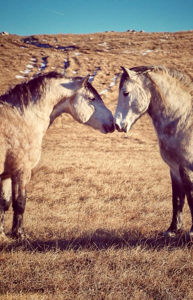 Foto: Aleksandra Vižin