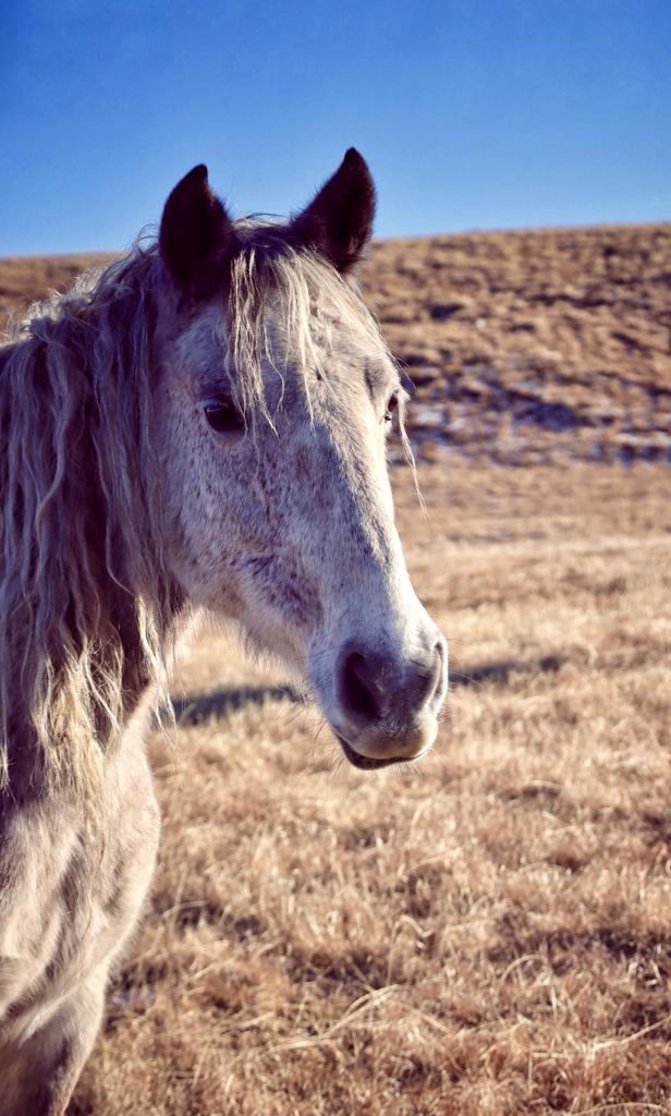 thumbnail_dd4b5a9b-6424-4365-b0ae-238db46a2f10