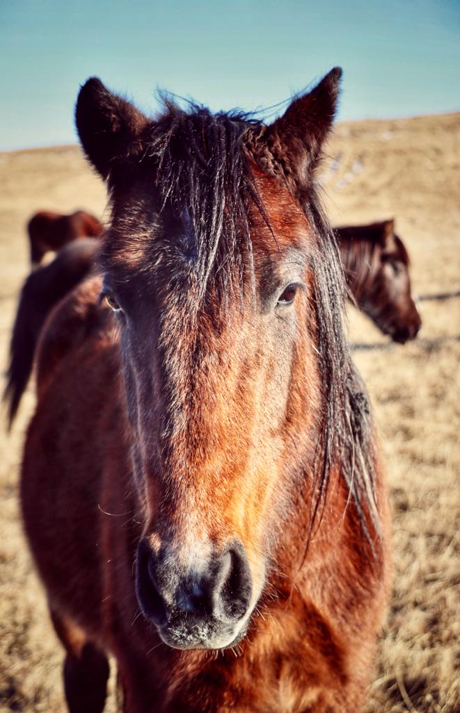 81f5dfd9-99ff-4d5d-a644-7a1e3d42bb17