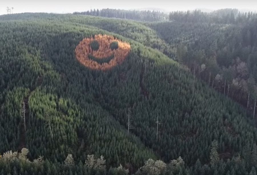 1643265709-suma-smajli-900x612