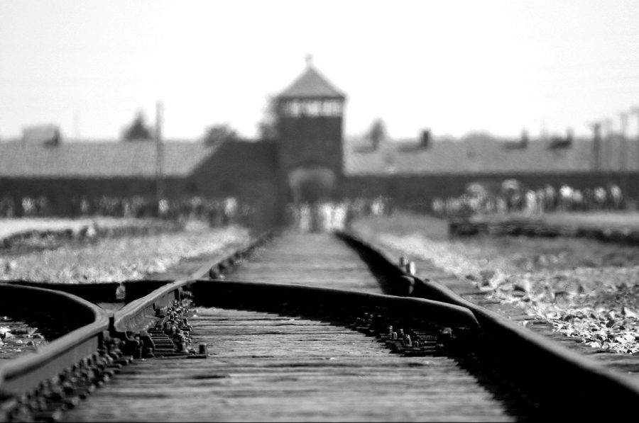 1643266400-birkenau-g6d8ac8b75_1280-e1643266414944-900x597