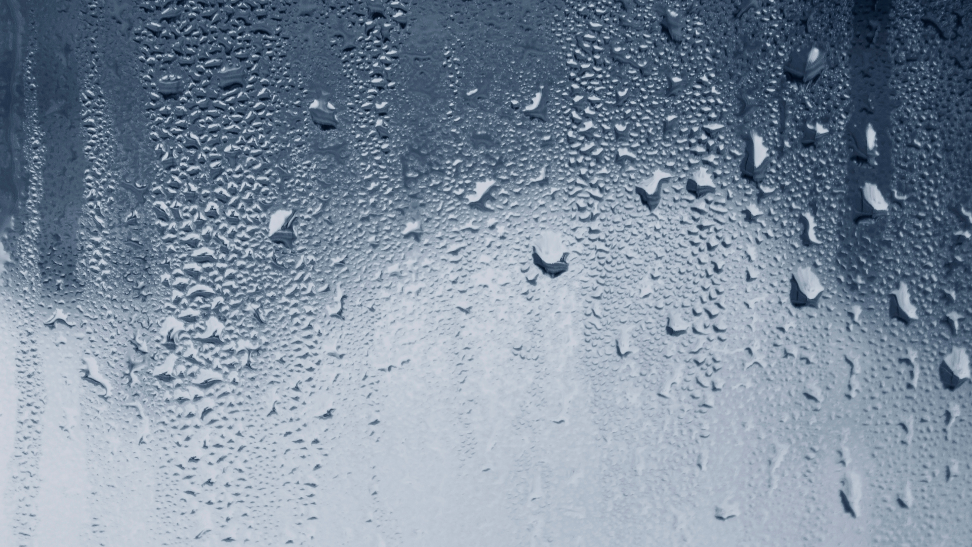 Dizajn bez naslova (48)