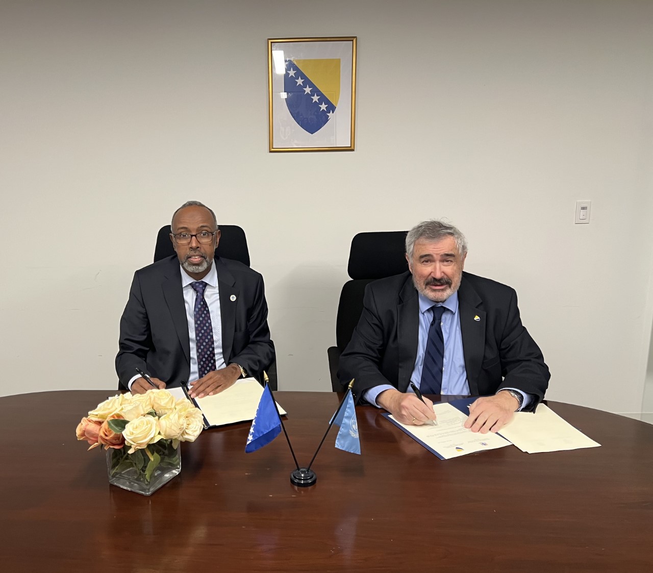 thumbnail_bih somalia 2