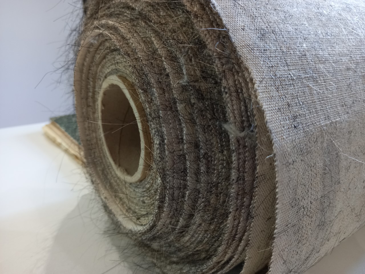 thumbnail_20220124_111759