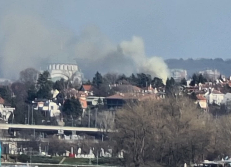 7QEk9kpTURBXy8yNzJkZjg1YjZjMTI1Y2M4MWFlMWMwN2M3MDNkNzlmZC5wbmeRkwLNAuQAgaEwBQ