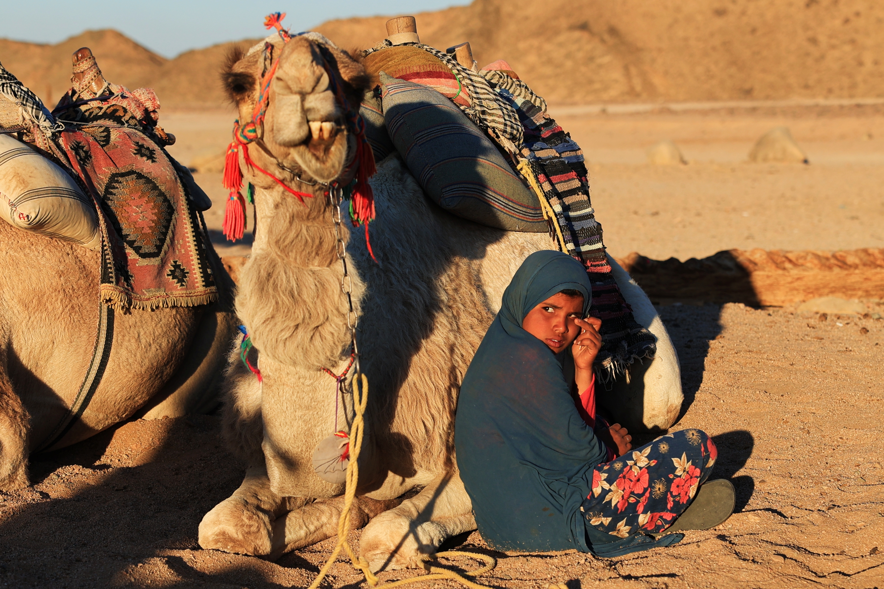 F. Z./N1 - Djevojčica pored kamile u beduninskom naselju