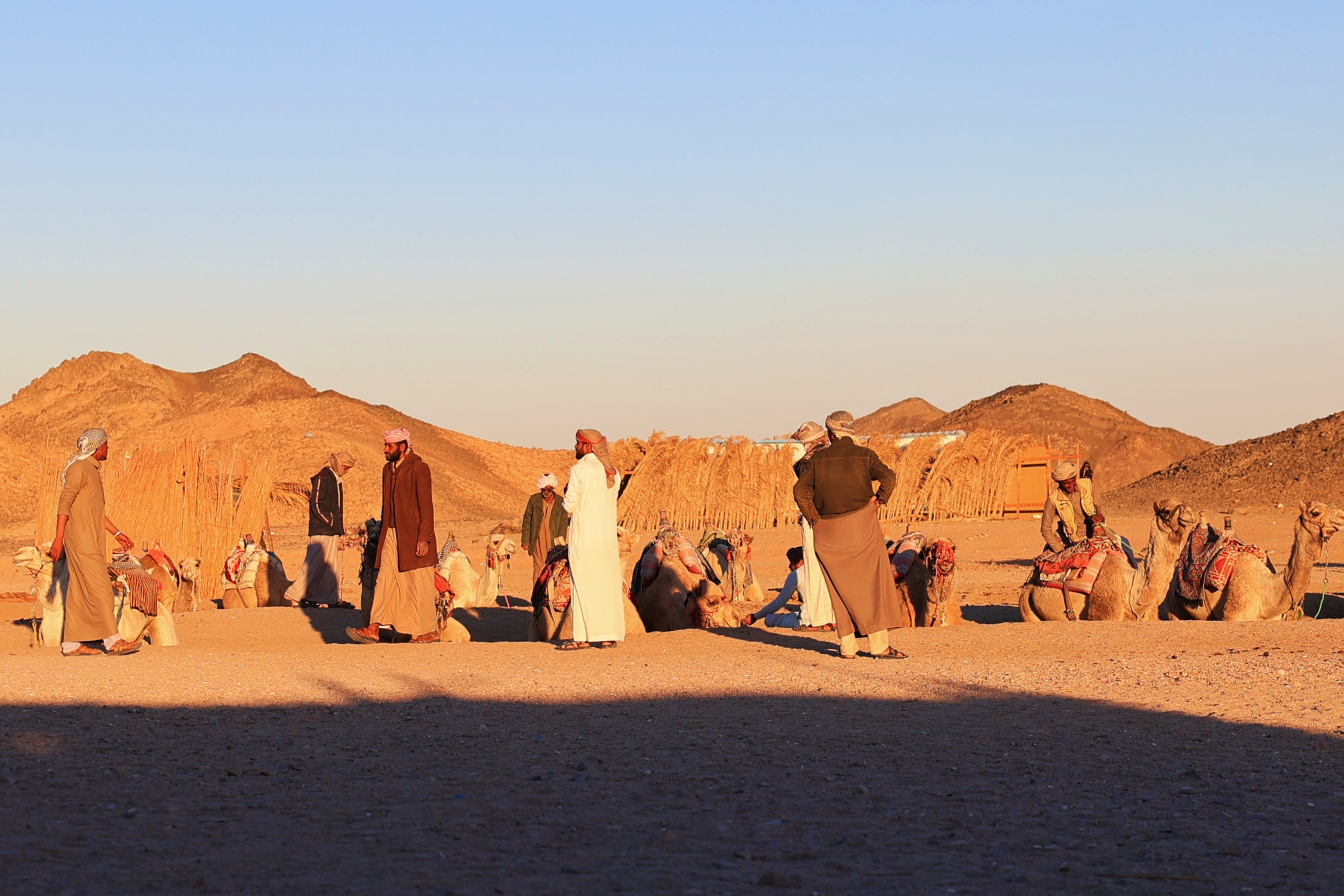 F. Z./N1 - Beduinsko naselje u Sahari