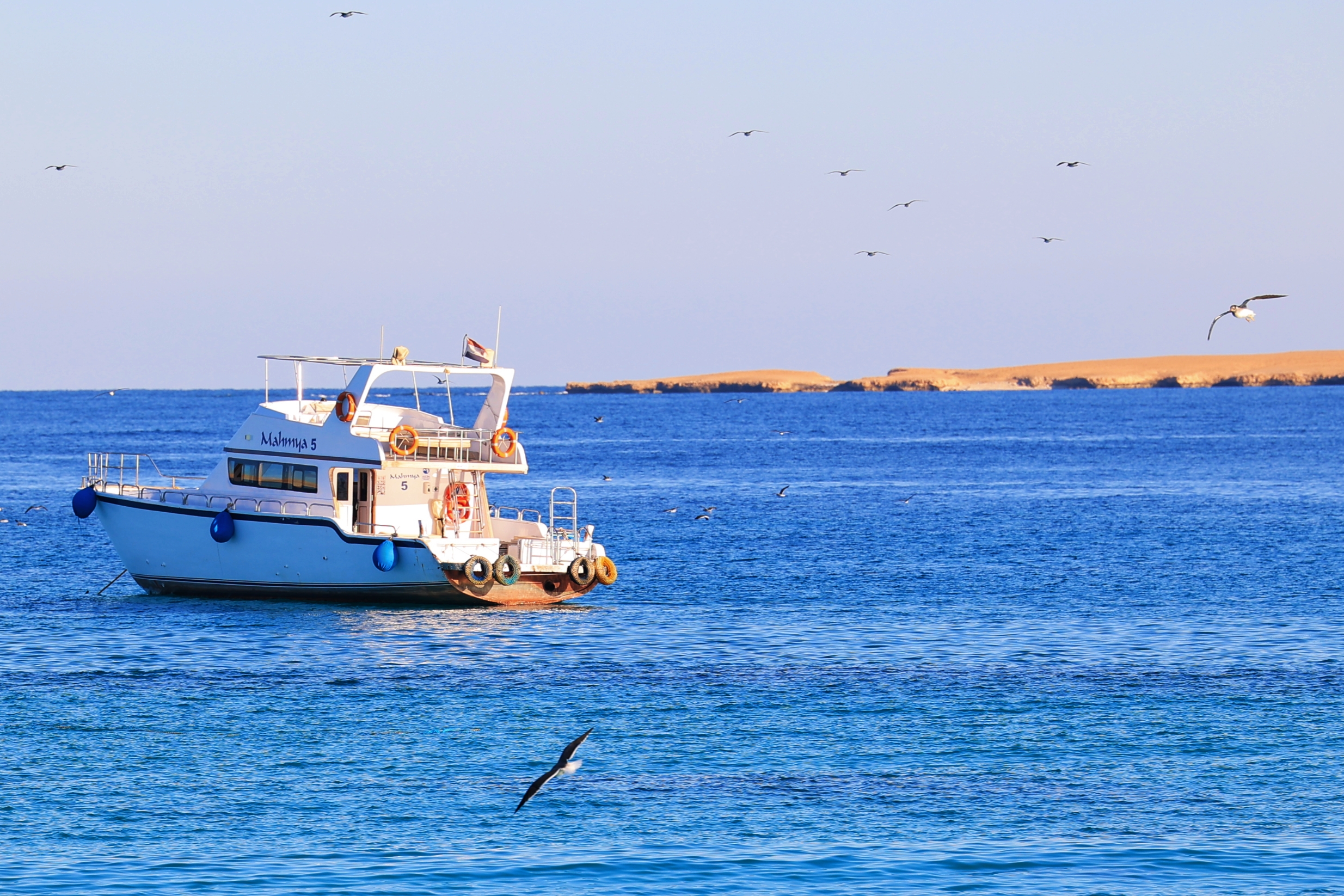 F. Z./N1 - Crveno more